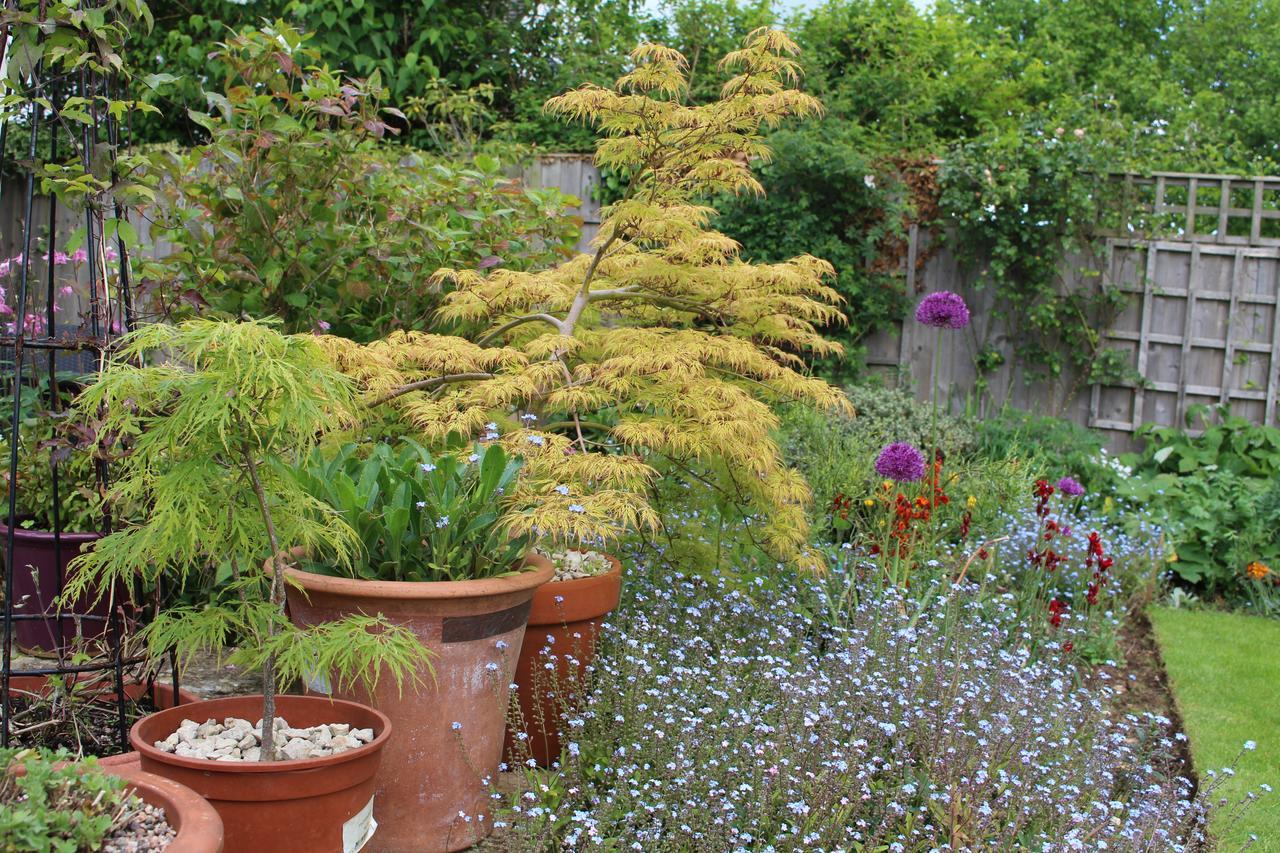 Laurels Guesthouse Witney Kültér fotó